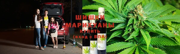 ГАЛЛЮЦИНОГЕННЫЕ ГРИБЫ Белоозёрский